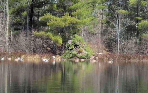 The Little River Boat hiding in it's one of a kind Duck Blind.